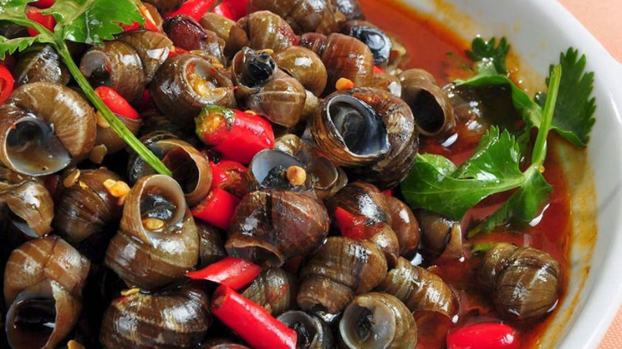 các điểm tham quan ở đà nẵng