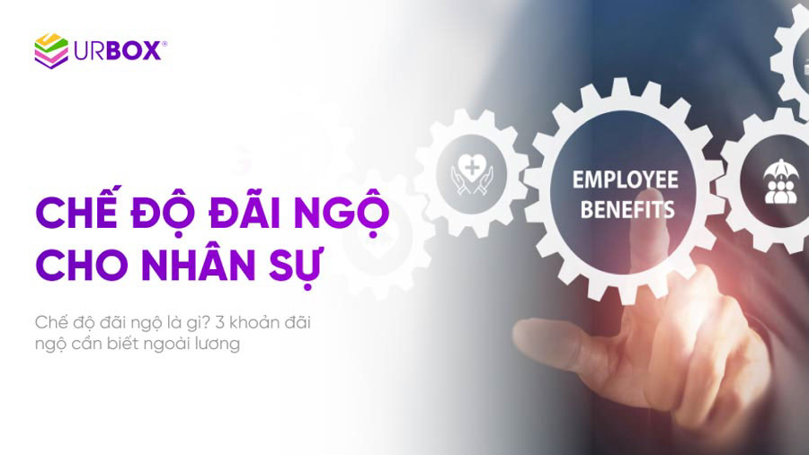 che-do-dai-ngo.jpg