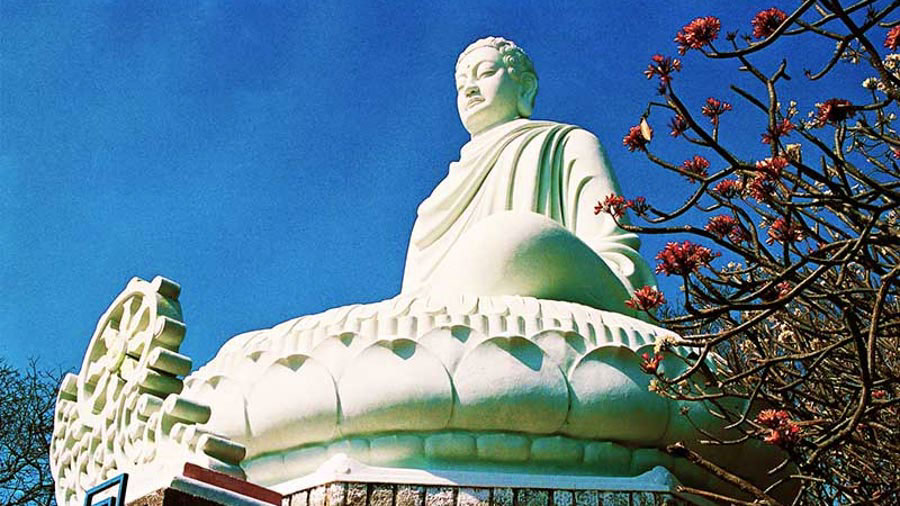 choi-gi-vung-tau.jpg