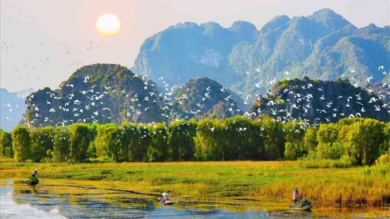 Vườn chim Thung Nham đa dạng sinh học tại Ninh Bình