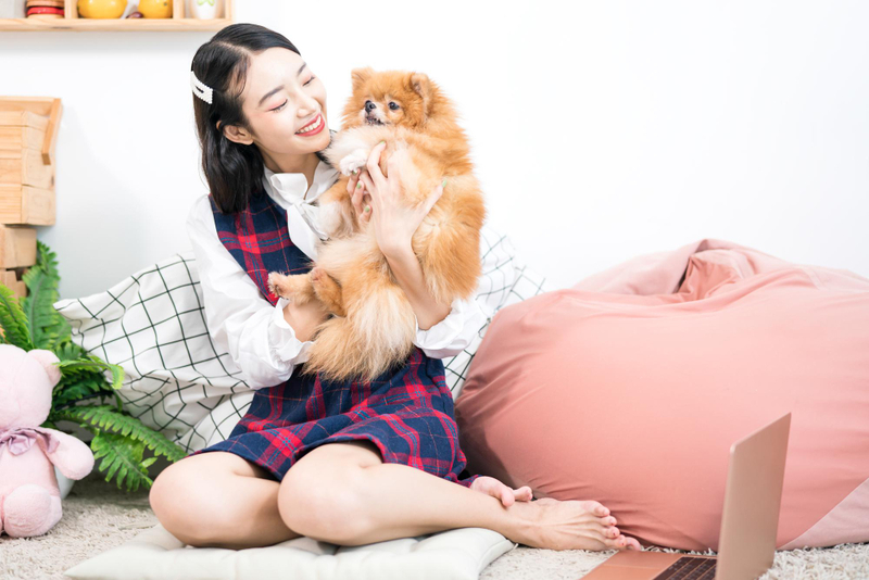 Alt: Quà tặng 14/2 cho người yêu nữ yêu động vật