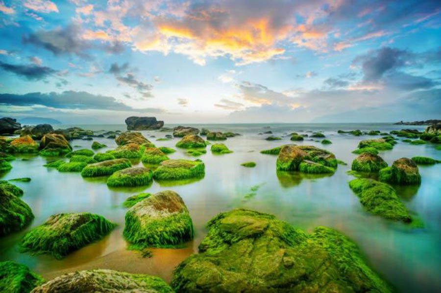 khám phá đà nẵng