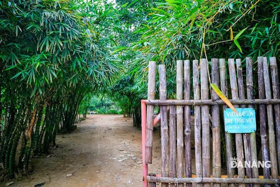 khám phá điểm tham quan đà nẵng