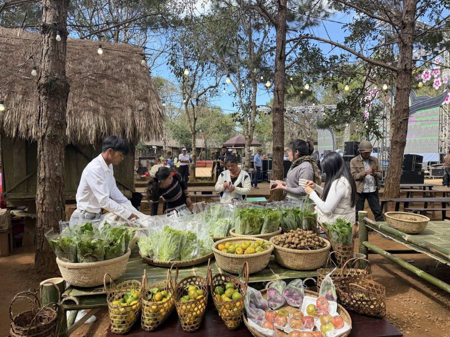 kinh nghiệm đi măng đen
