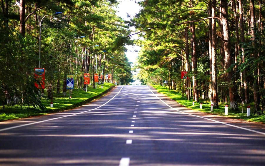 kinh nghiệm du lịch măng đen