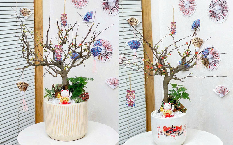 Alt: Chậu hoa Tết trang trí nhà làm quà tặng bố mẹ chồng.