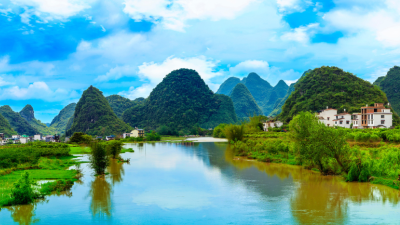 Tranh, ảnh Việt Nam