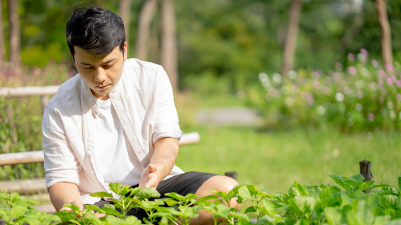 Giúp đỡ cha mẹ nàng - thể hiện sự chu đáo trong lần ra mắt đầu tiên