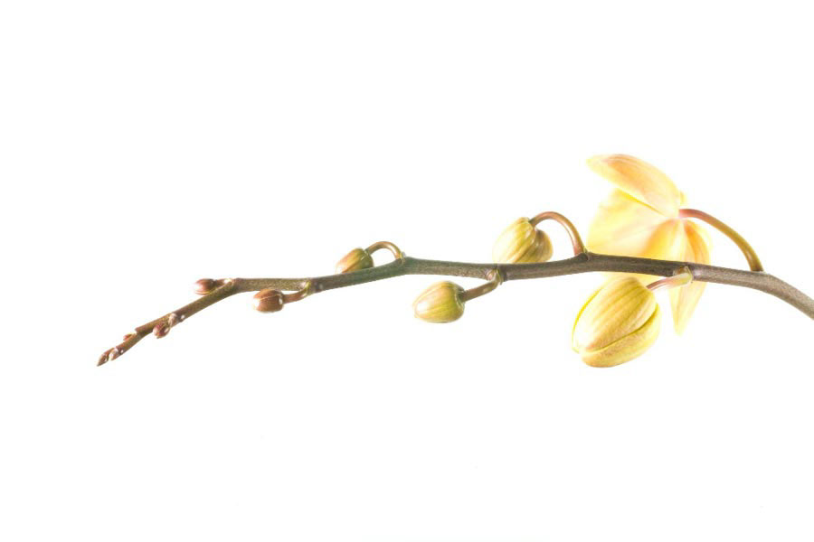quà hài hước 20/10