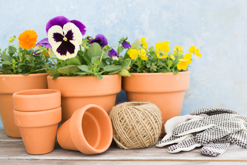 Chậu cây nhỏ handmade làm quà sinh nhật độc đáo và xanh mát.