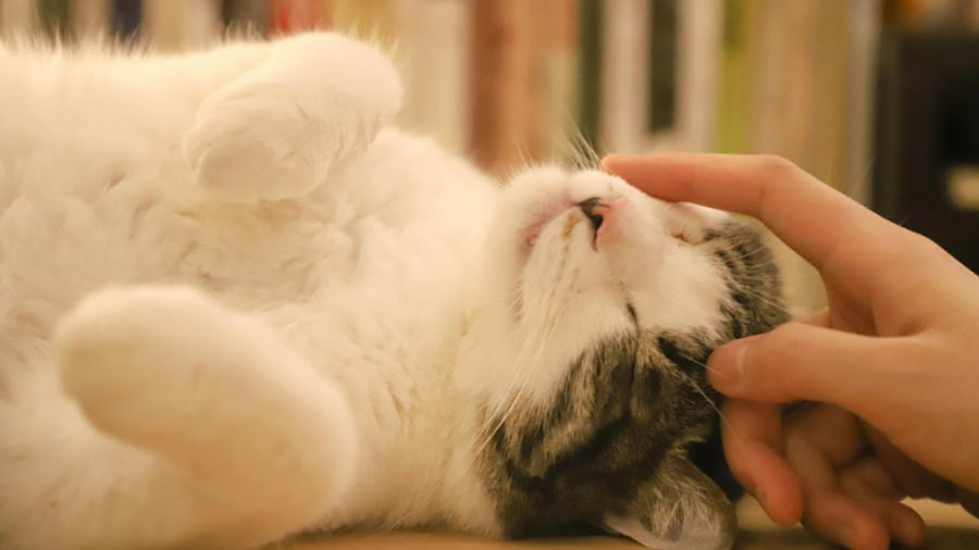 quà sinh nhật bạn gái nên tặng gì