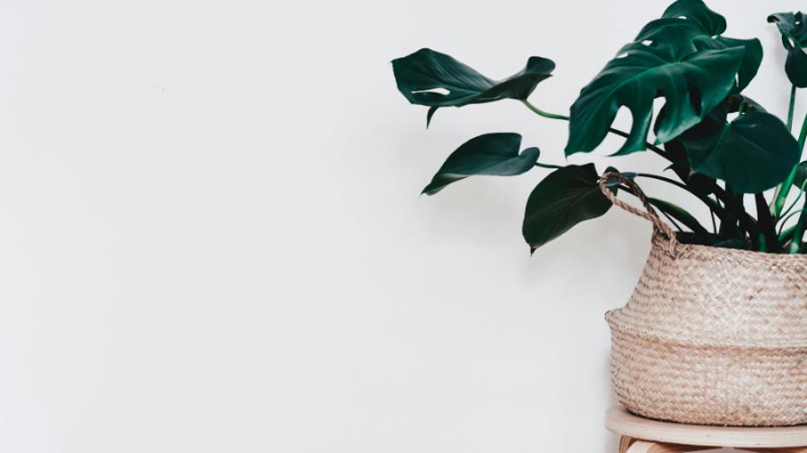 quà tặng sinh nhật cho nam ấn tượng