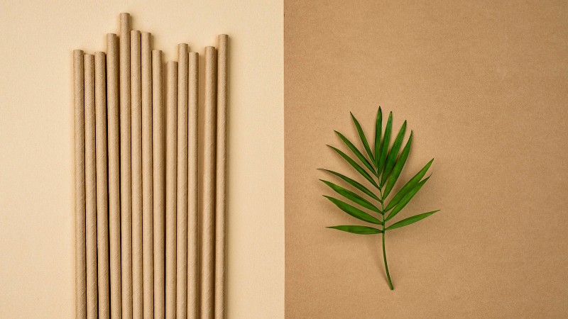 Ống hút tự nhiên quà tặng thân thiện môi trường