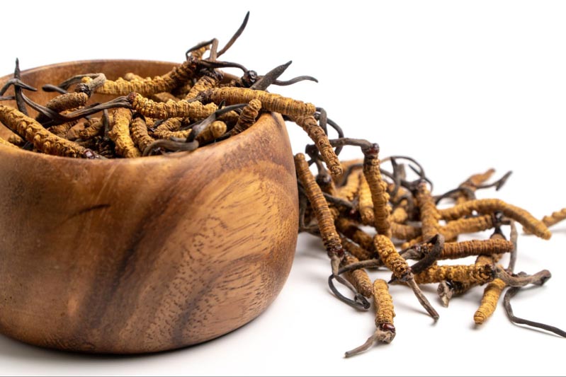 quà tặng trung thu ấn tượng