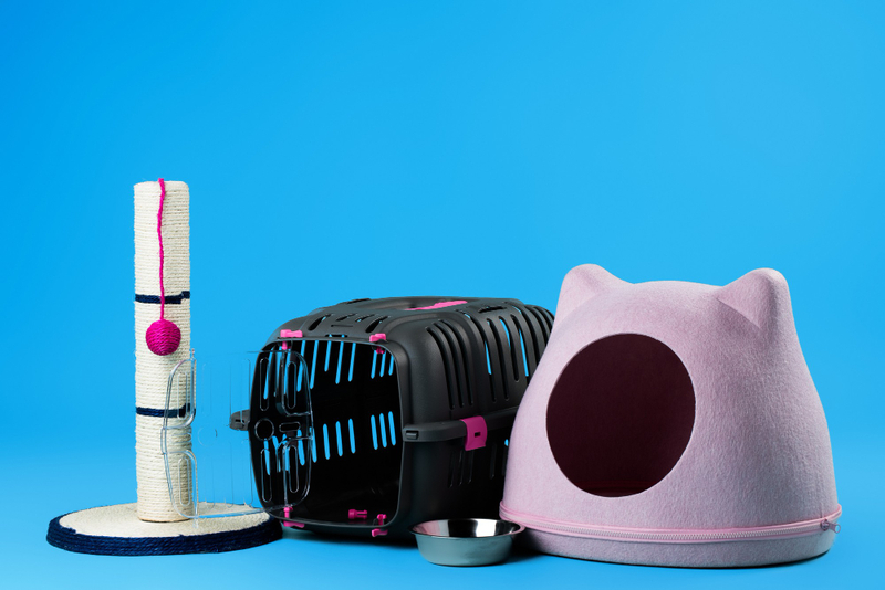 Phụ kiện dành cho thú cưng