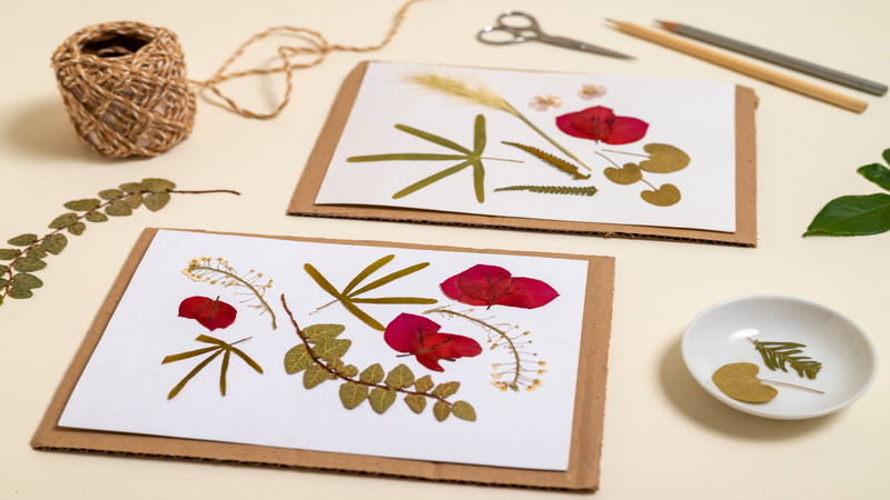 Quà tặng 20/11 thiệp handmade sáng tạo và ý nghĩa