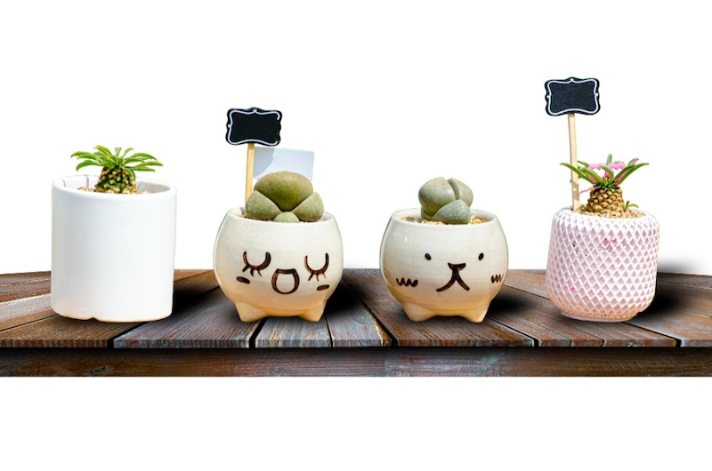 qua-tot-nghiep-nu-sang-trong.jpg