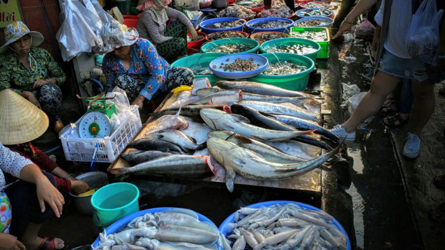 Vũng Tàu có gì chơi cho trẻ em